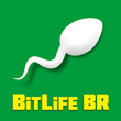 Bitlife Br Mod Apk 1.10.16