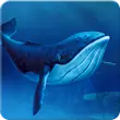 Blue Whale Mod Apk