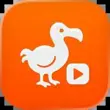 Dodo Webview APK