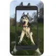 Dogas Info 1.2 Apk