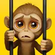  I Am Monkey APK 1.0.0 Download latest version for Android