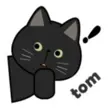 TomVPN APK