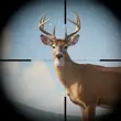 Trophy Hunter – Hunting Game APK
