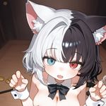 Welcome to Lilka's Magic Show APK